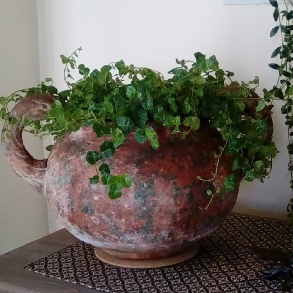 Meet your Posher, Nancy